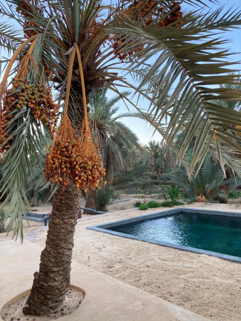 WAFLA photo 3