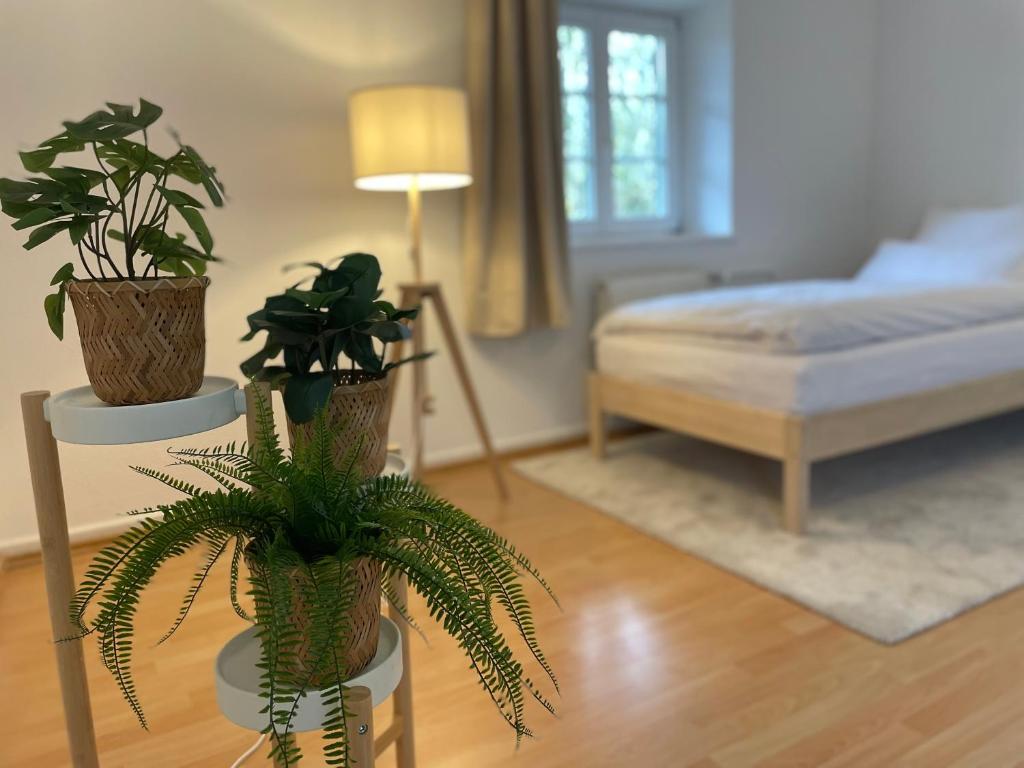 Wohnung mit 3 Schlafzimmern, Dachterrasse und Flussblick photo 4