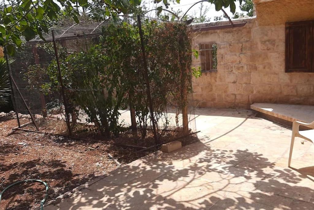 Self-Contained Garden apartment with Galilee sea & mountains view 2 photo 1