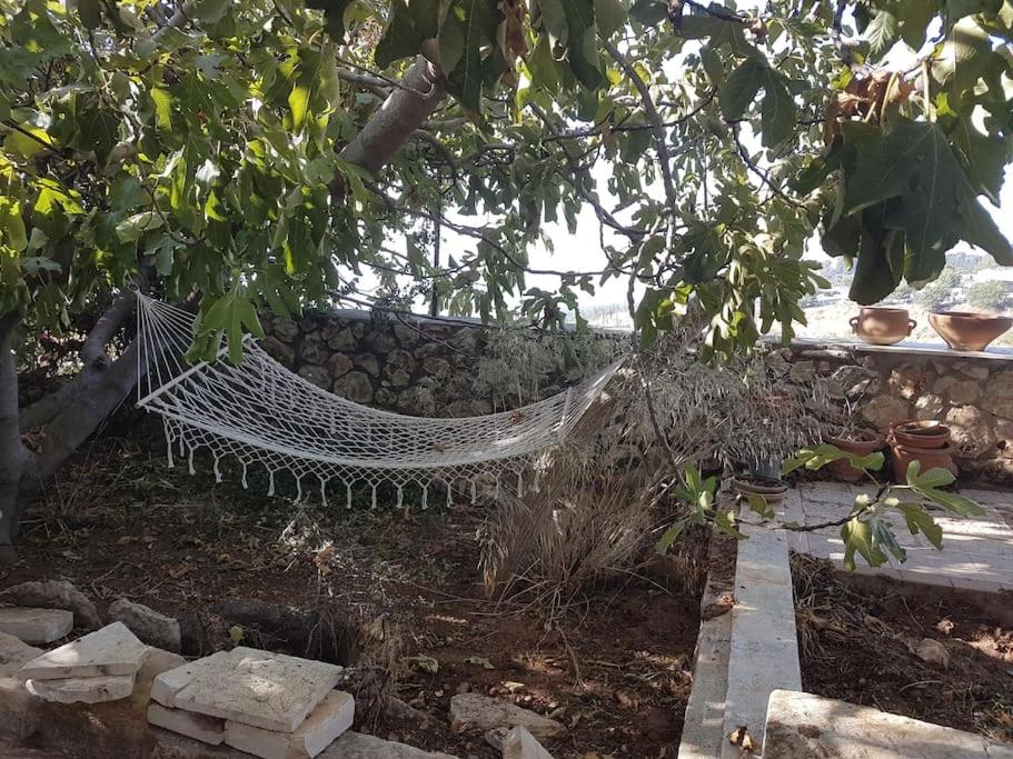 Self-Contained Garden apartment with Galilee sea & mountains view 2 photo 2
