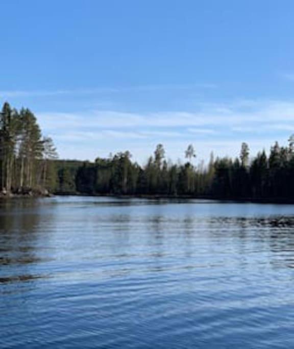 Velkommen til Finnskogen og minihytta Rimbila photo 4
