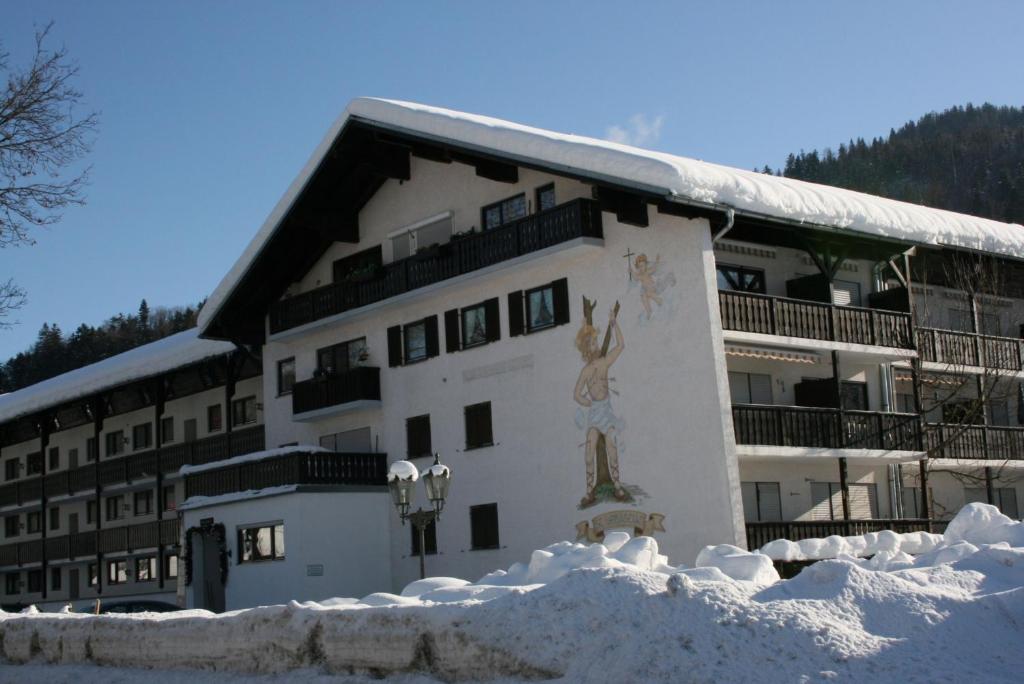 Alpendohle photo 1