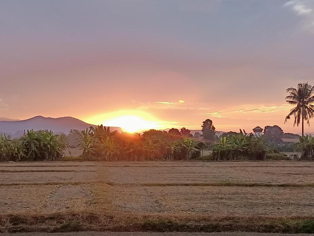 Villa Albizia in Chiang Mai photo 2