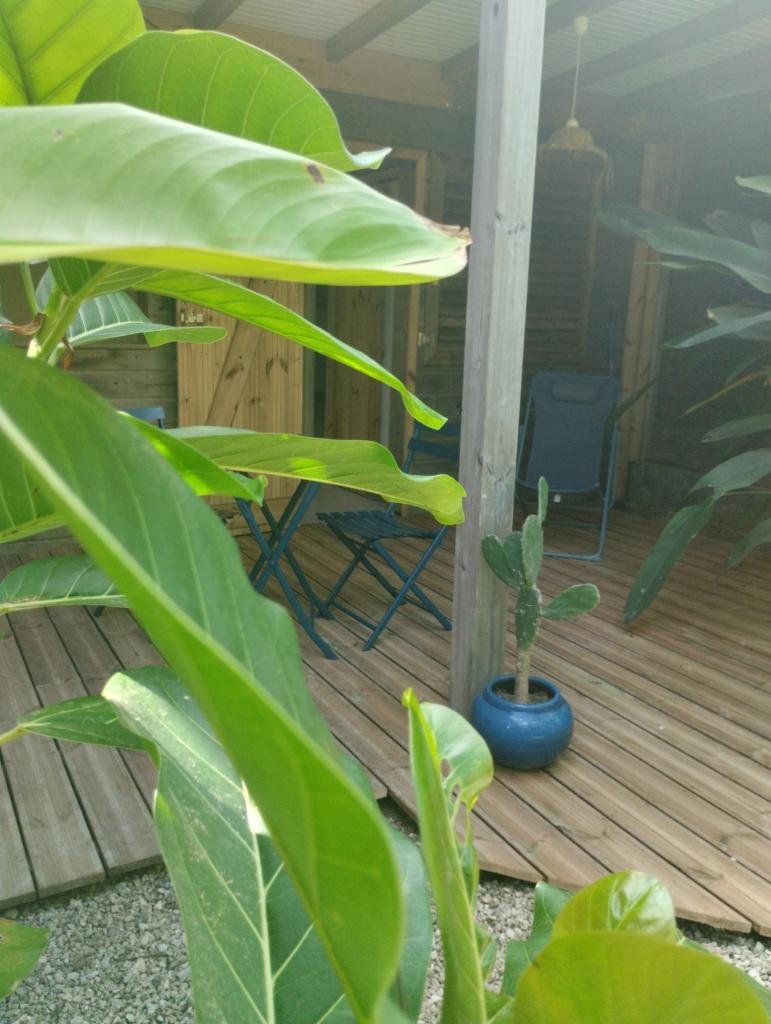 Résidence Bois Flotté photo 4