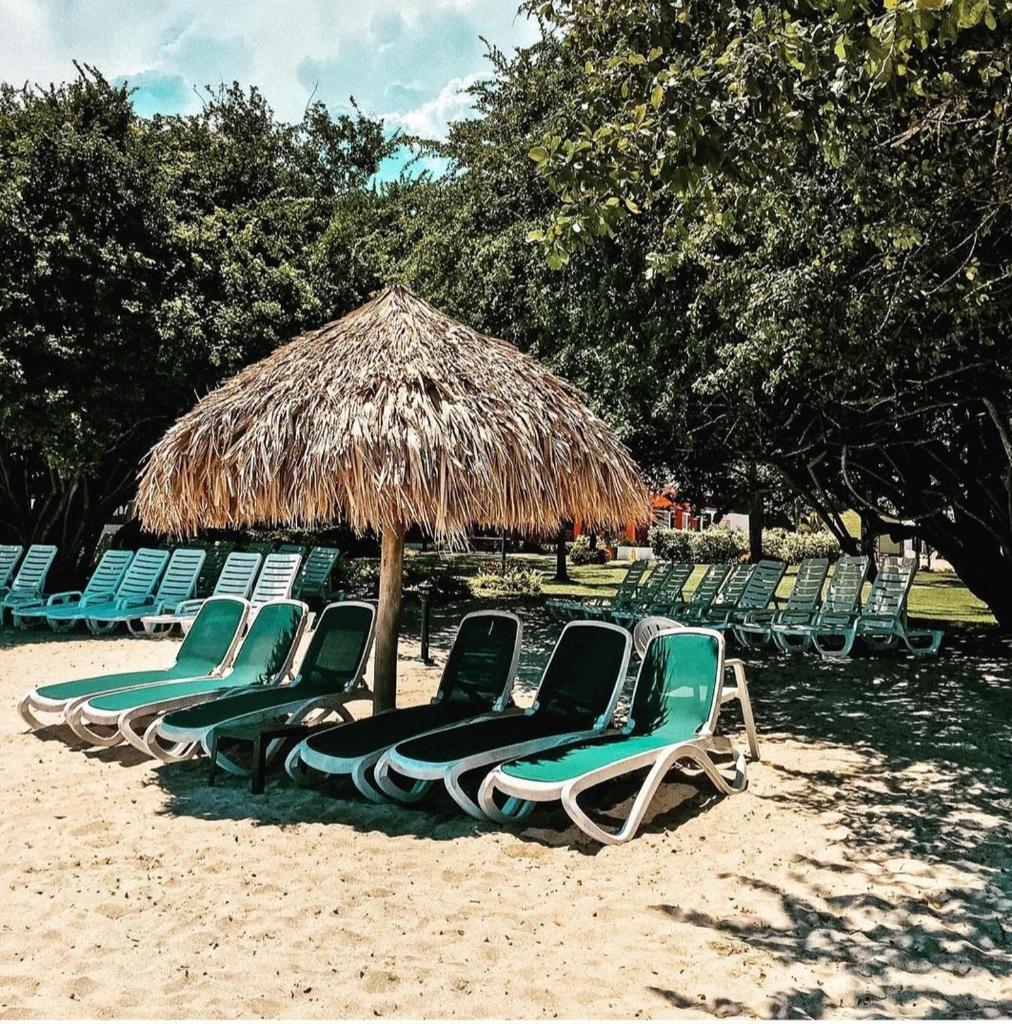 Villa Marimar photo 3