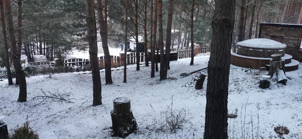 Apartament na skarpie z widokiem na jezioro Swornegacie photo 4