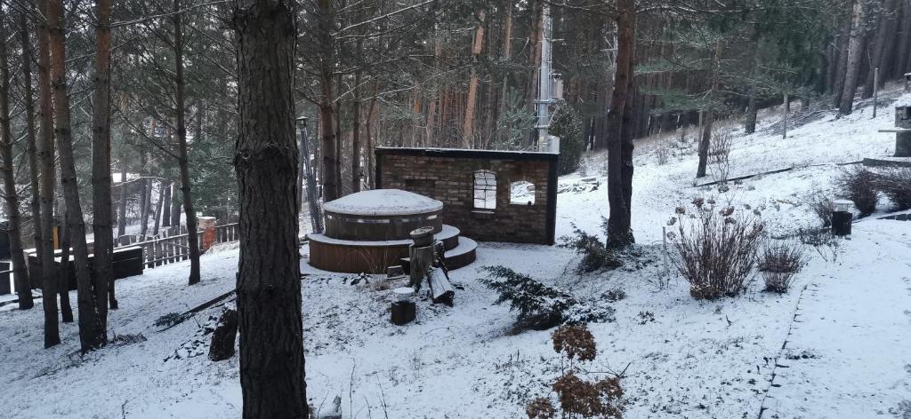 Apartament na skarpie z widokiem na jezioro Swornegacie photo 1