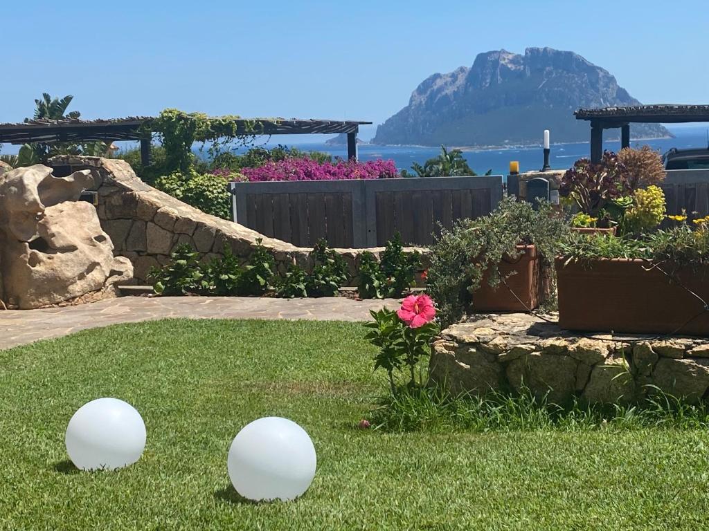 Claude&Kate's dream house photo 1