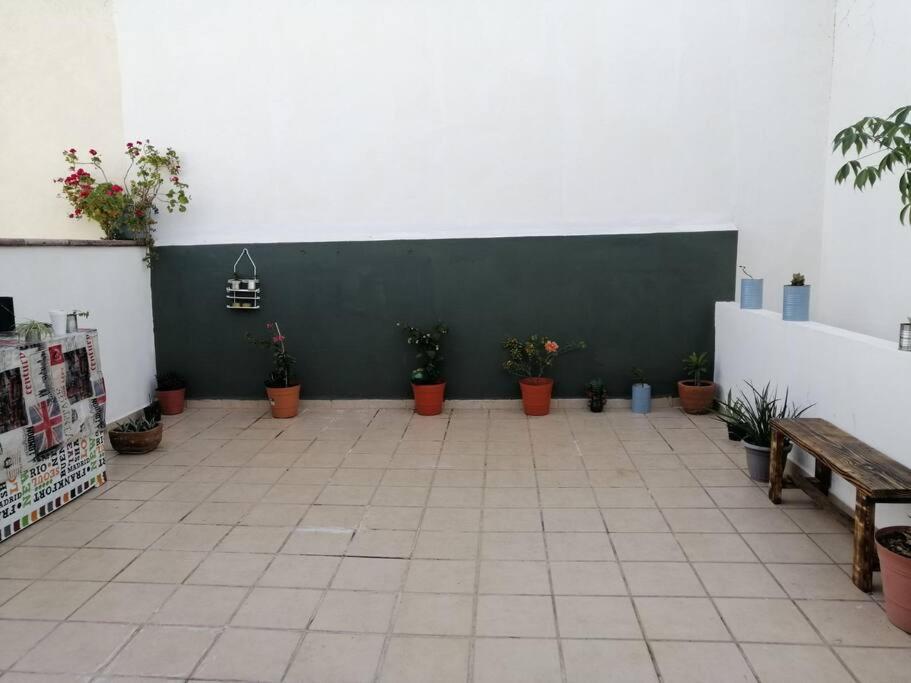 New house in historic center, close to amenities. photo 1