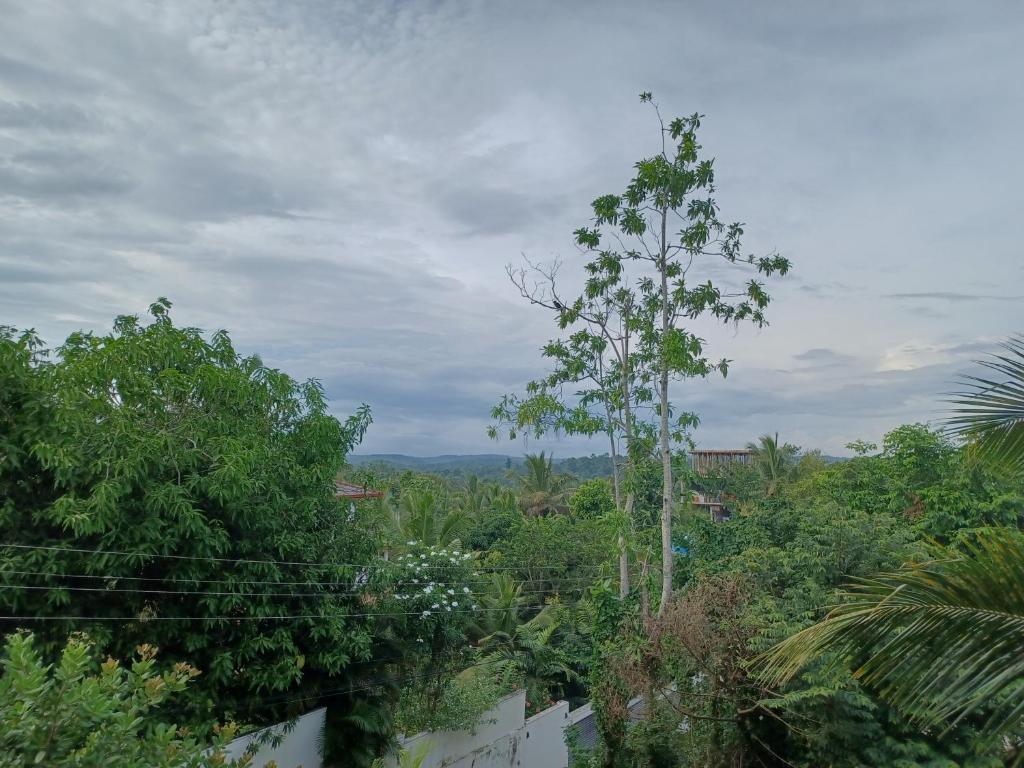 Sunhill Rest Hiriketiya photo 2