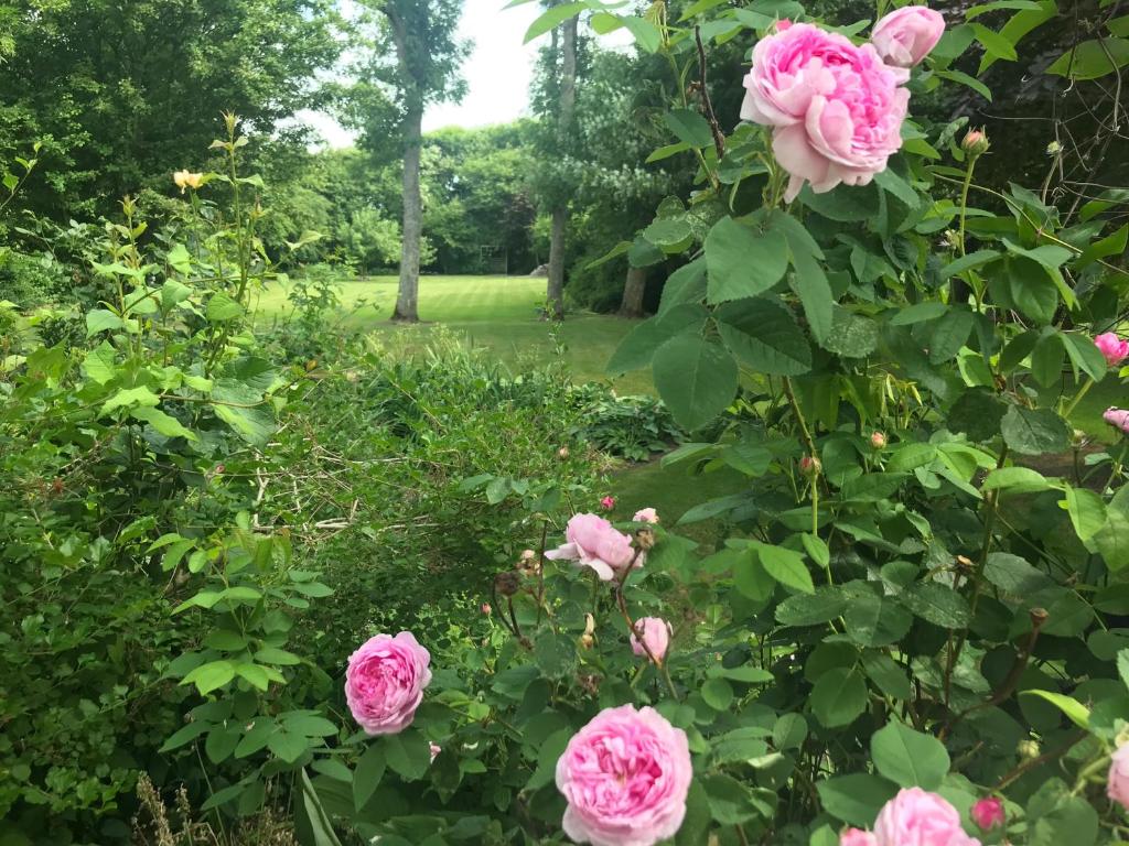 Thyholm B&B photo 1