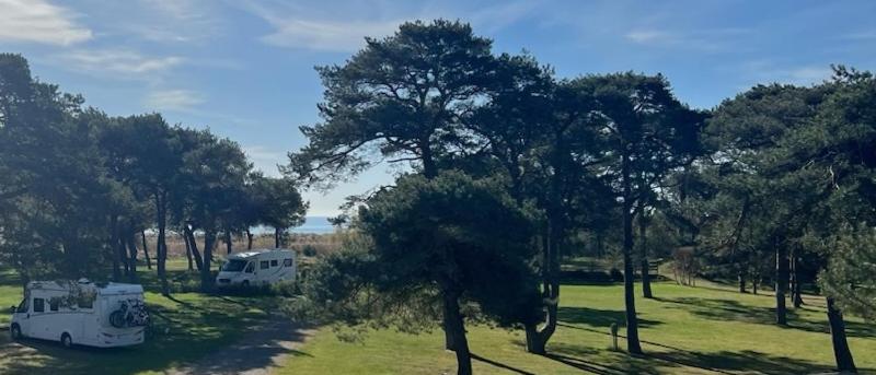 Dueodde Strand Camping photo 1