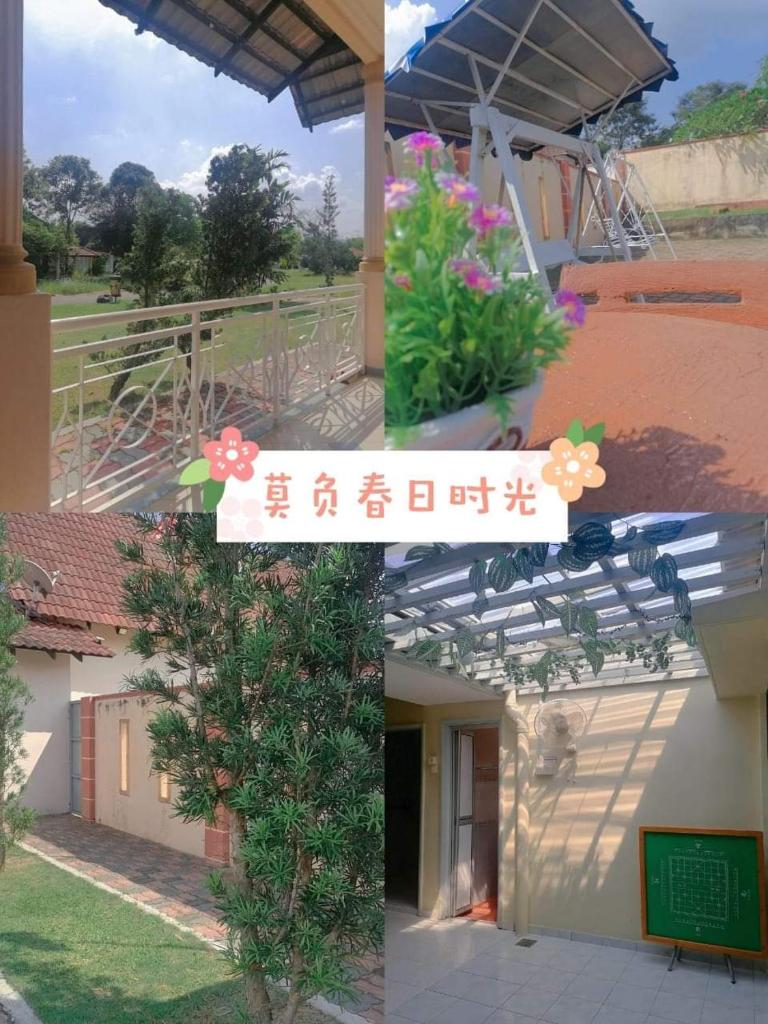 Secret Garden photo 4