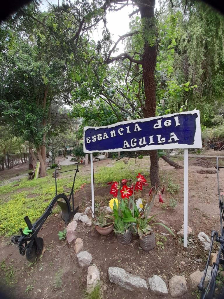 Complejo de Cabañas Estancia Del Águila photo 2