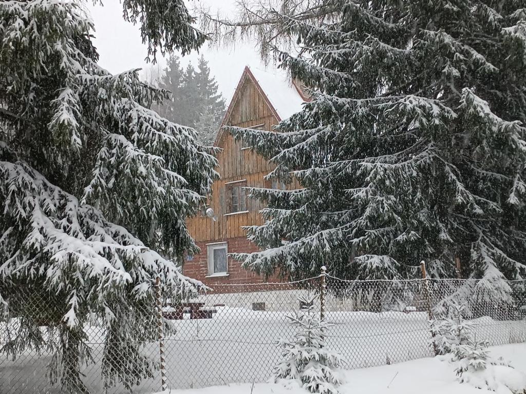 Strażnica Pod Lasem photo 2
