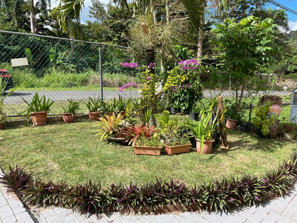 Gavidias Guest House photo 4
