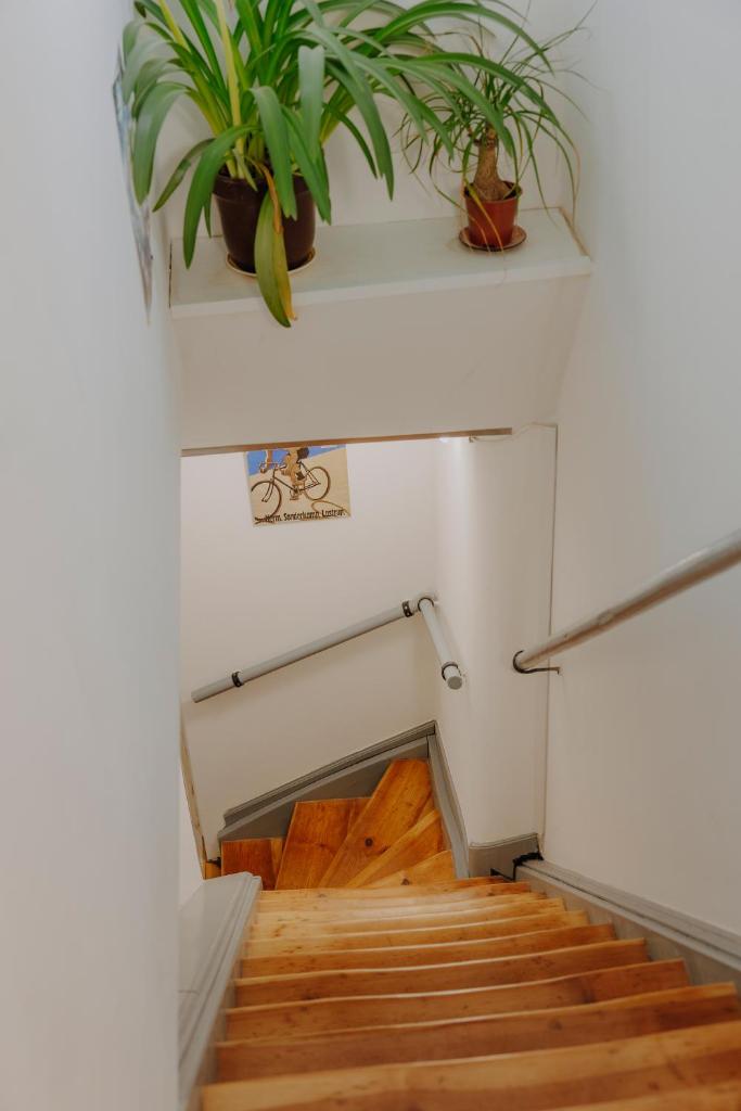 Ferienwohnung Wanderslust zentral in Ilmenau photo 1