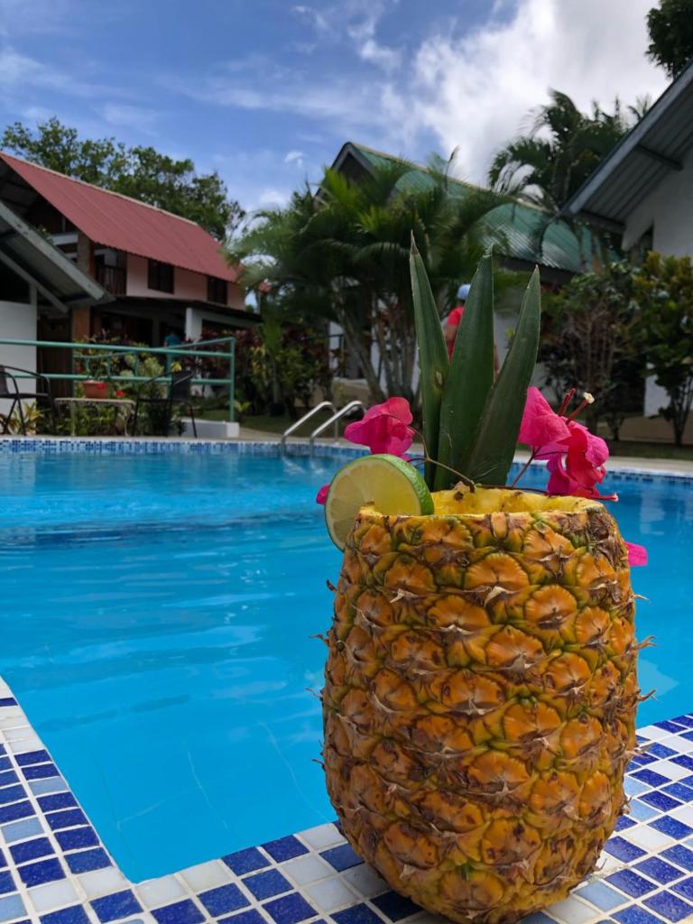 Rainforest Yasmin Hotel photo 4