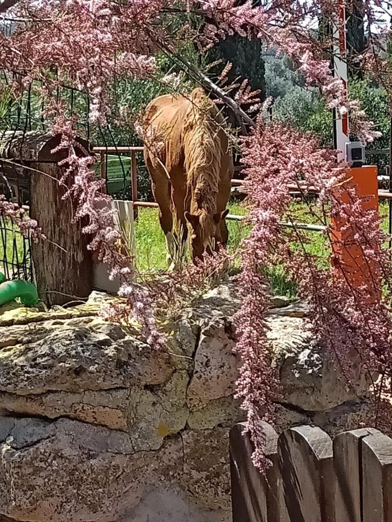 Casa in Provinca photo 3