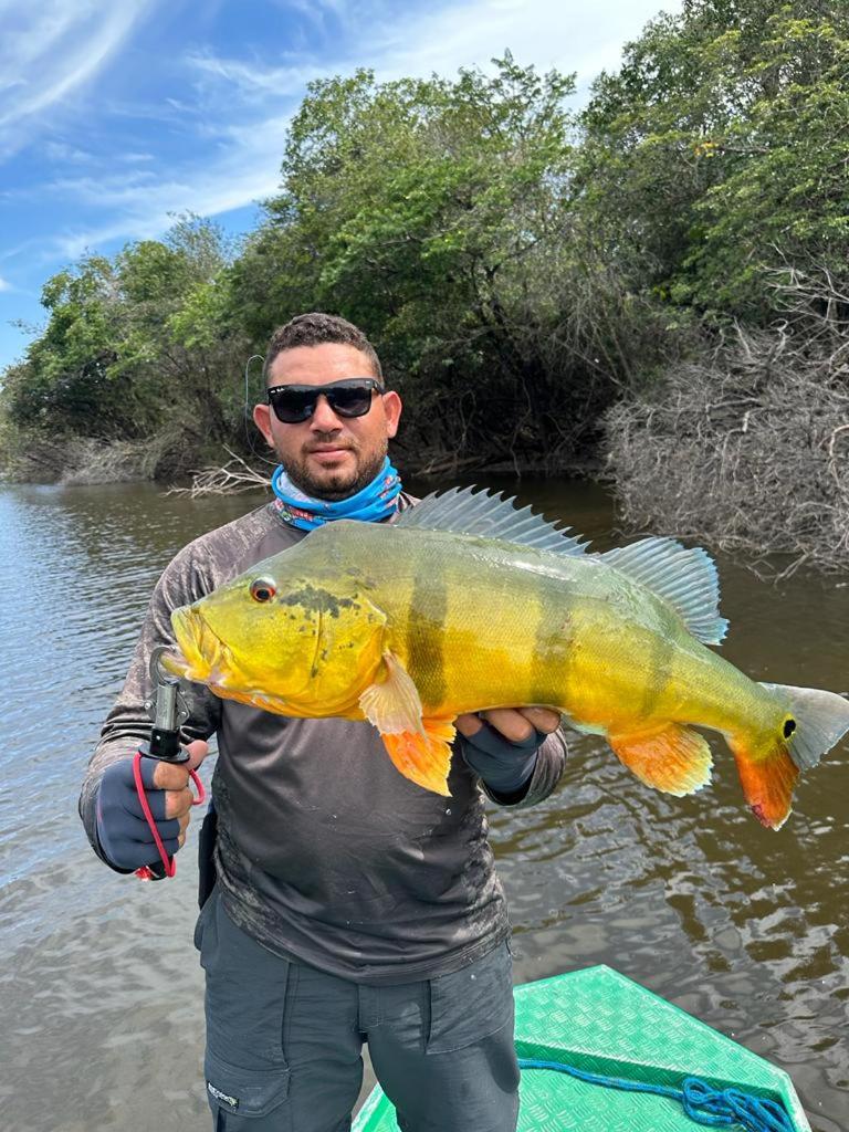 Amazon Extreme River Fish photo 2