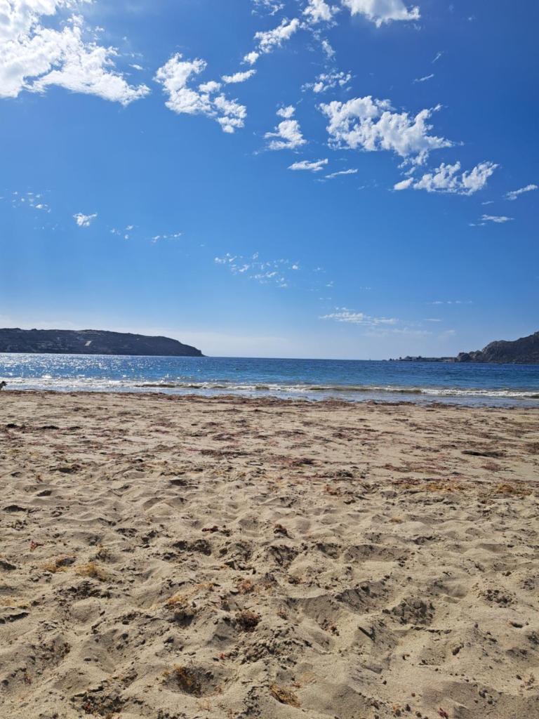 Depto. Playa La Herradura Coquimbo