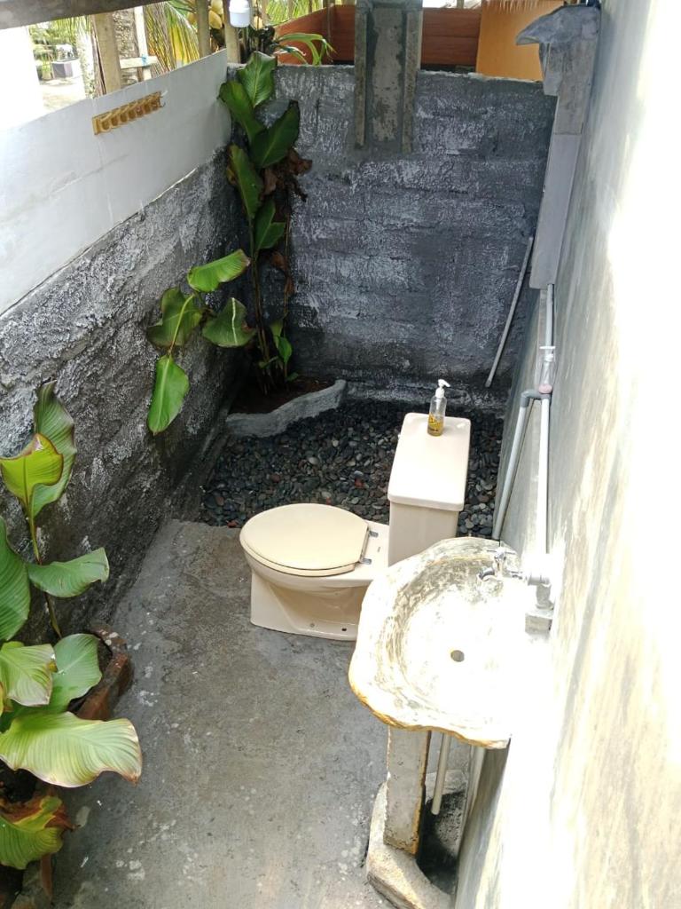 Wikan House photo 4