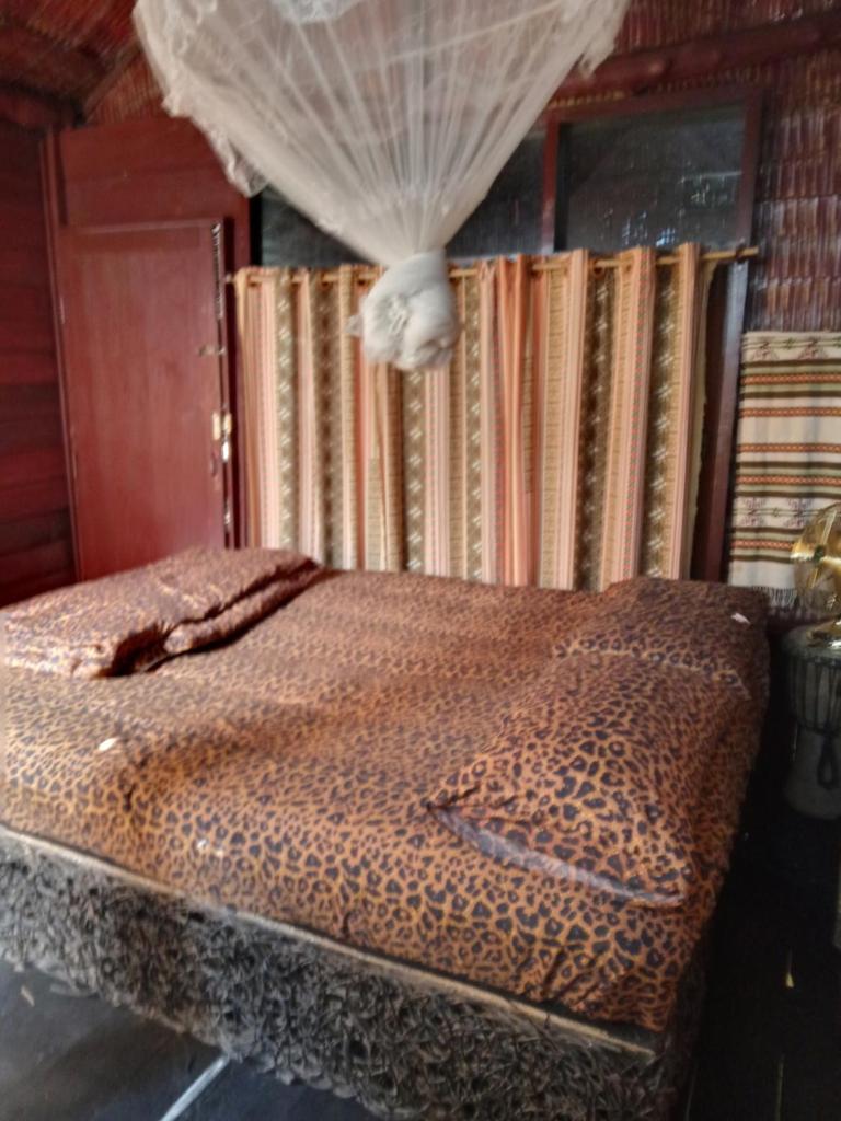 Room1 photo 3