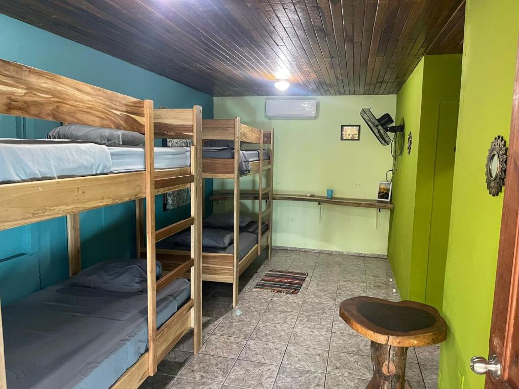 Avellanas Surf Hostel photo 3
