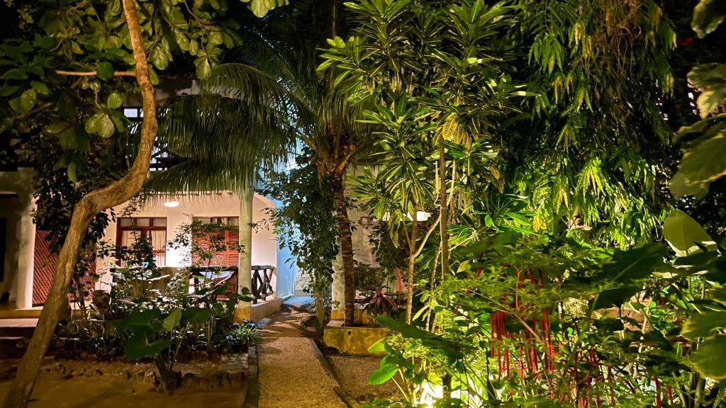 Atii Garden Bungalows photo 2