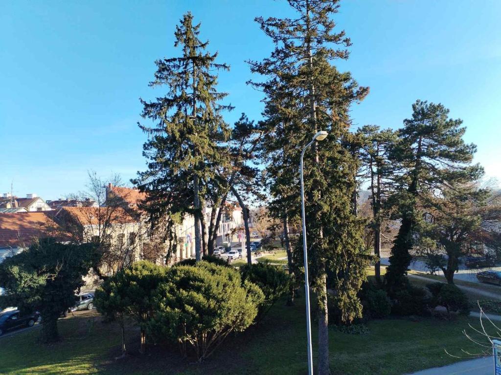 Prenoćište Skitnica Kapronca photo 2