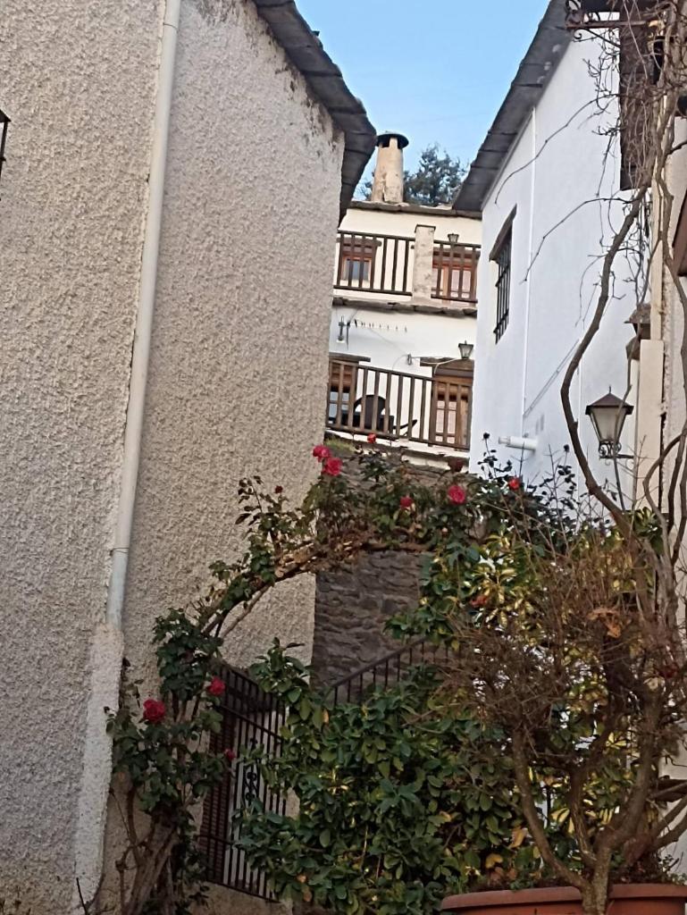 La casita del castaño en Bubión