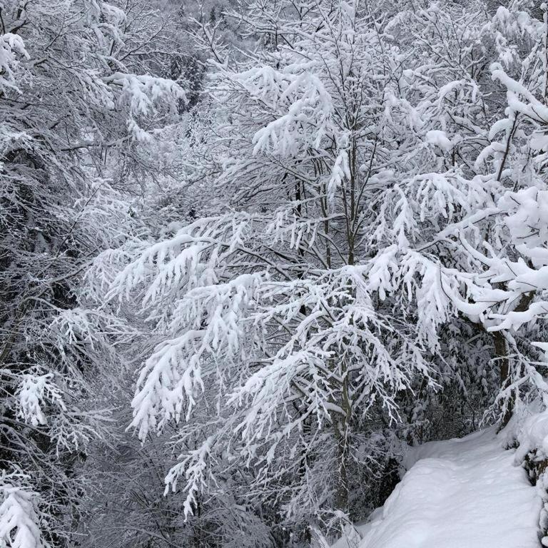 DEĞİRMEN KÖY EVLERİ photo 2