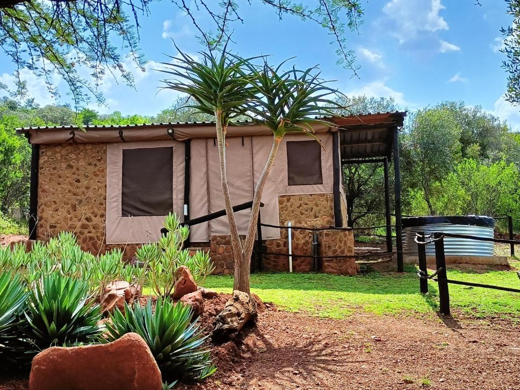 Shamba Yetu Mountain Lodge photo 2