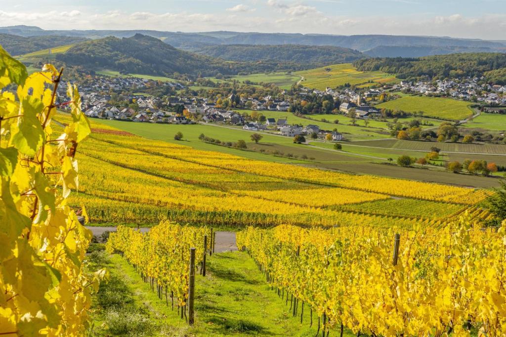 Weingut-Ferienwohnungen Lorenz photo 2