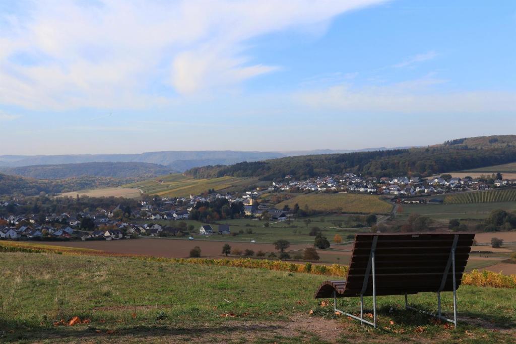 Weingut-Ferienwohnungen Lorenz photo 4
