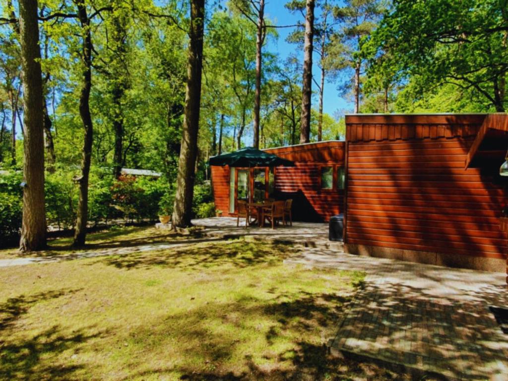 Wooden Nature Chalet - Dennenrhode Doornspijk photo 4