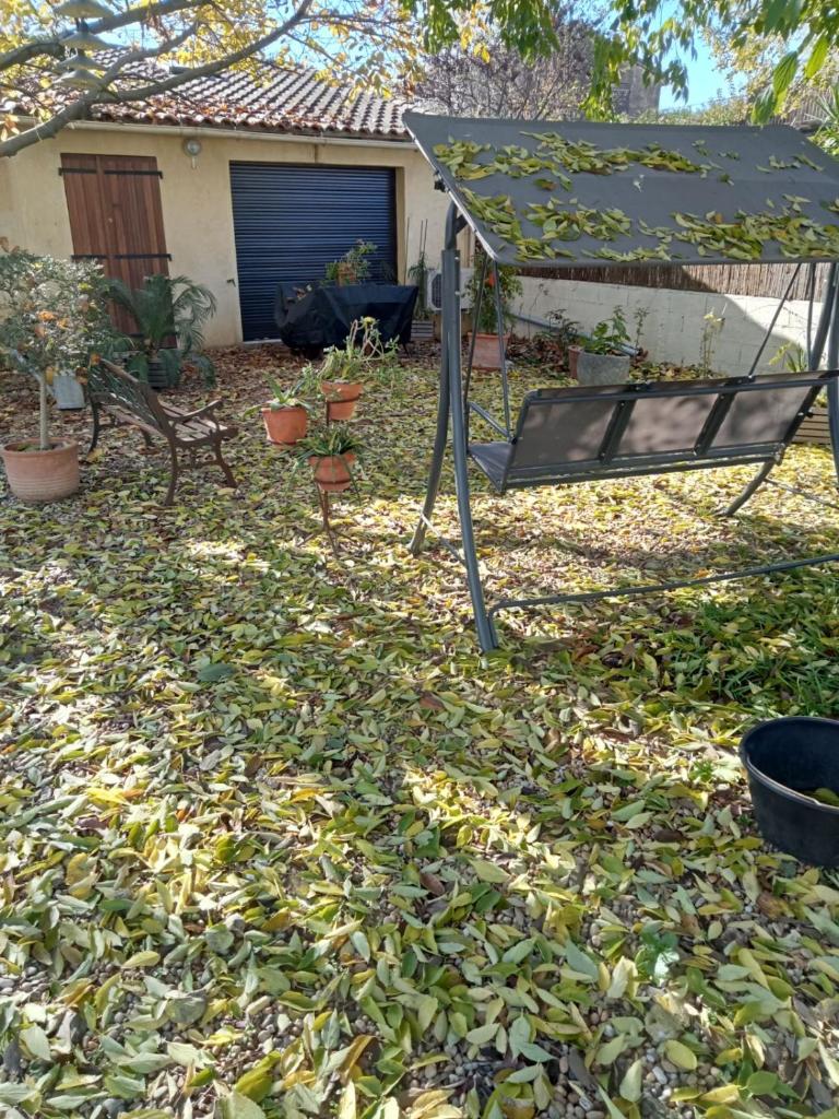 Gîte du Portail Vert photo 3