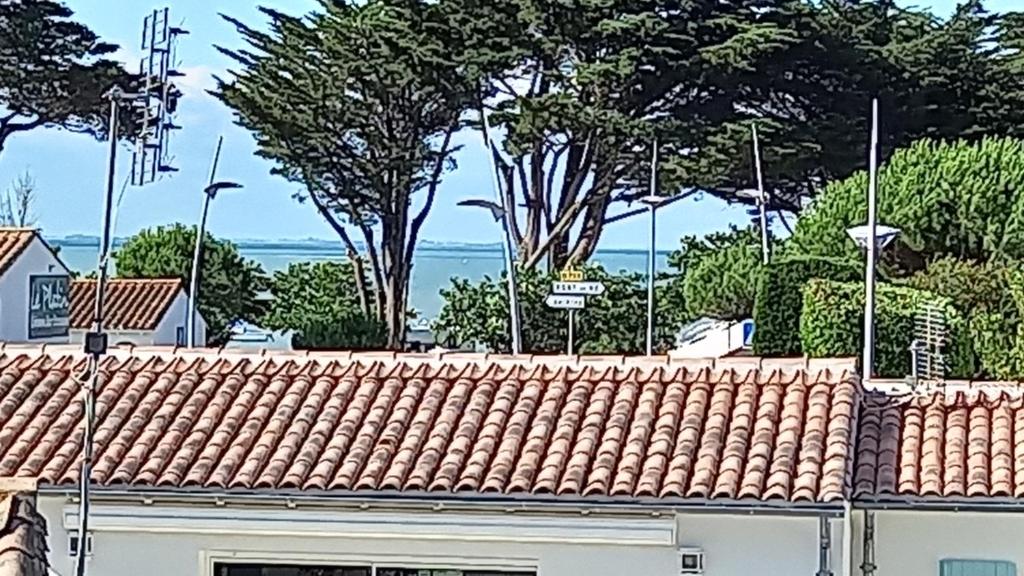 PINS EN RE photo 4