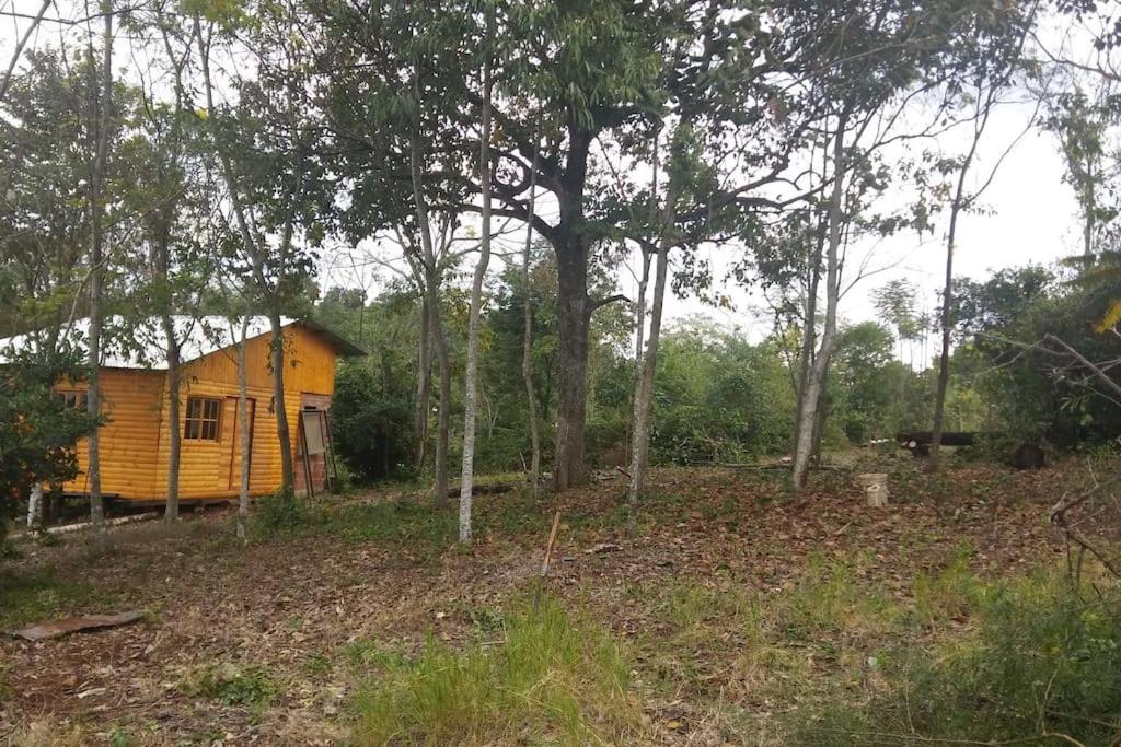 Latidos de Misiones photo 3