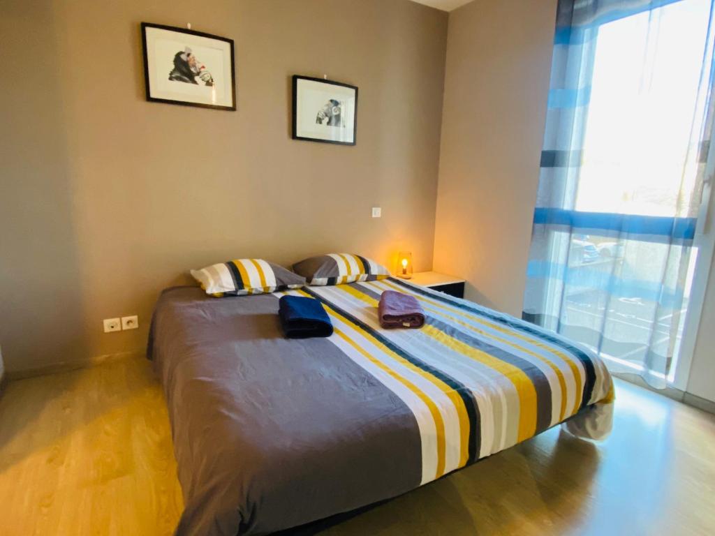 Appartement T2 cosy à Rodez photo 4