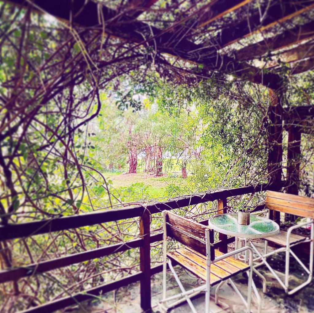 Posada del Viento photo 1