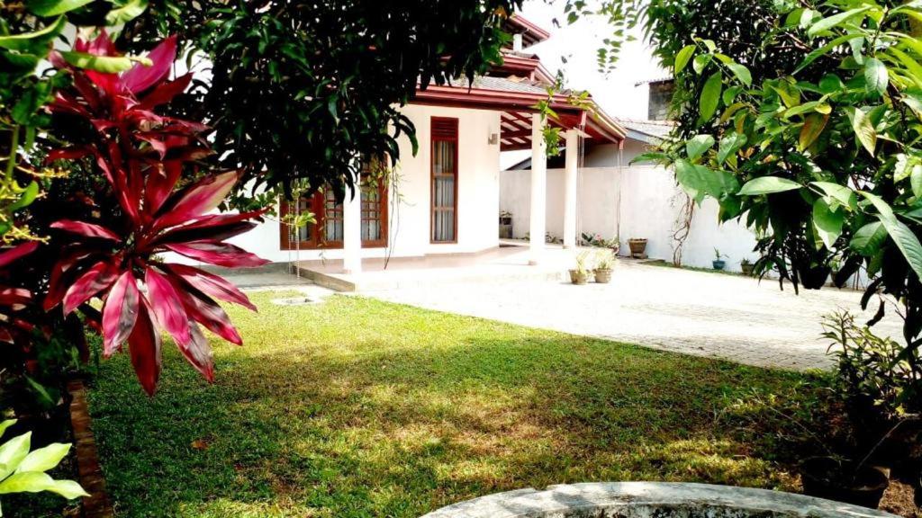 Vero villa photo 4