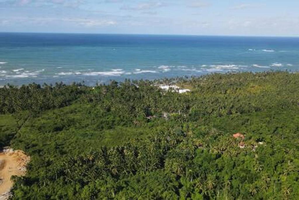 Hillside Oceanview Villa photo 1