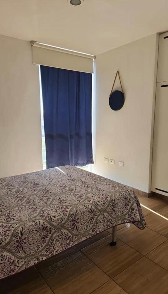 DEPARTAMENTO FLORESTA photo 3