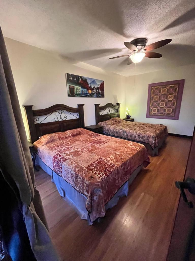 Casa Harding