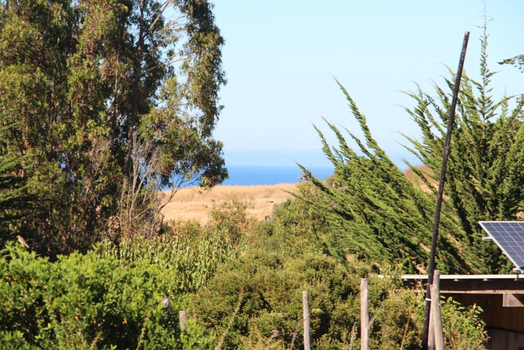 Olas de Chile Ecocamp photo 1