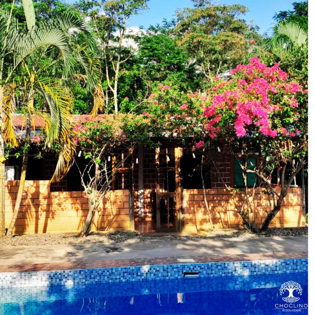 CHOCLINO ECOLODGE -Bungalows photo 2