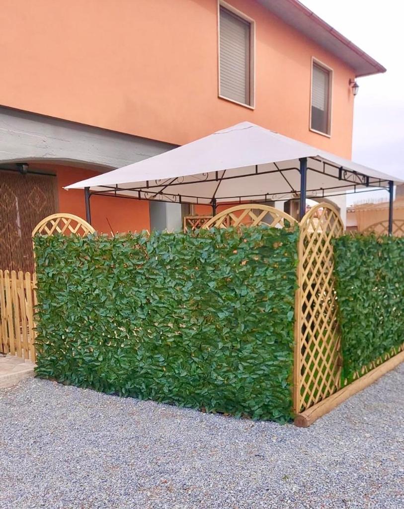 Agriturismo Stella Marina photo 1