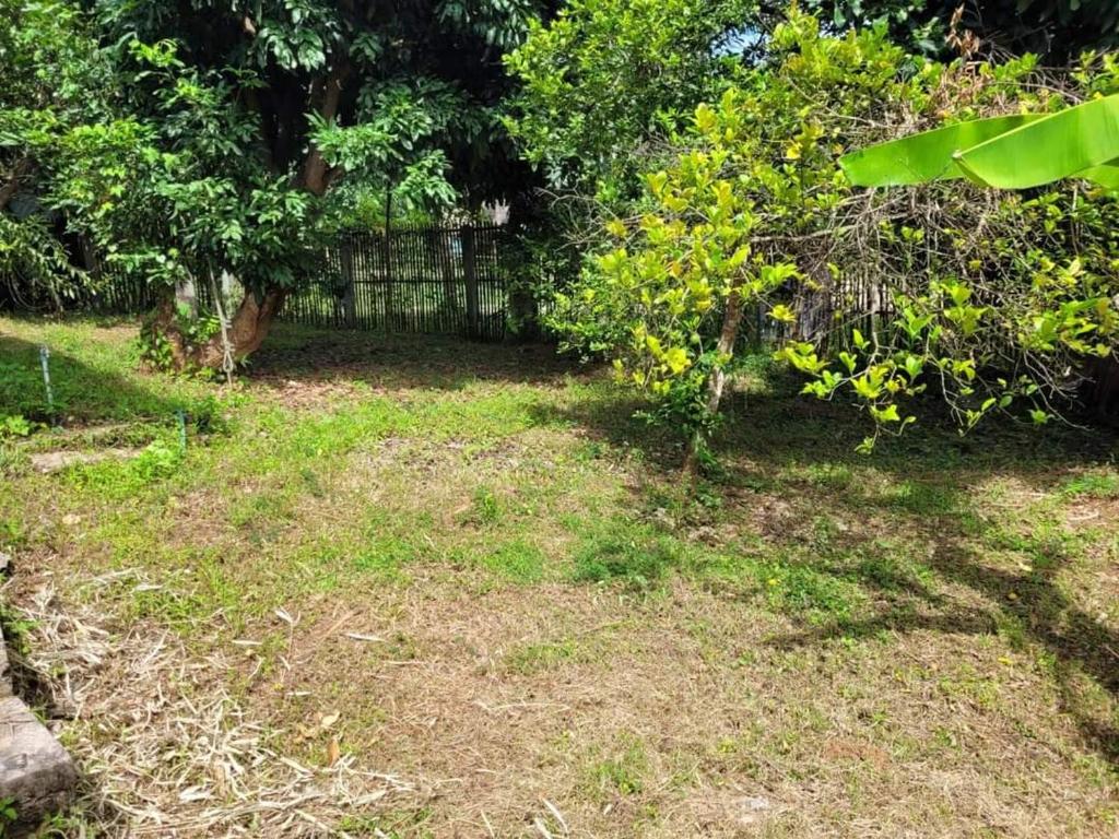 Ninetynine country house photo 3