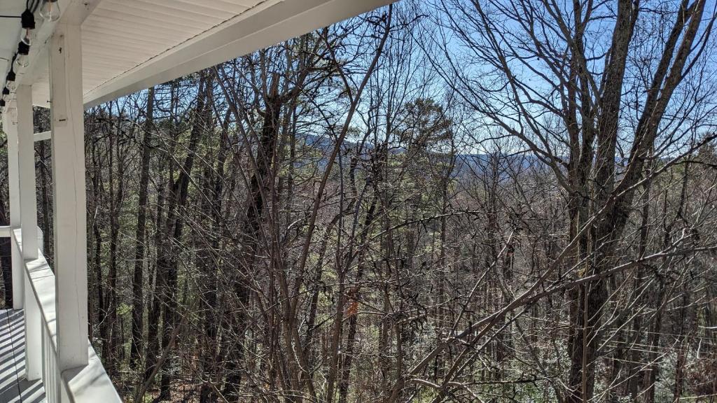 Hester Gap - wineries, AT hiking + Dahlonega/Helen photo 1